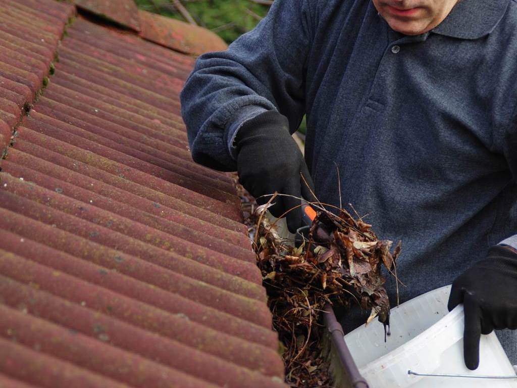 Gutter Cleaning Naperville
