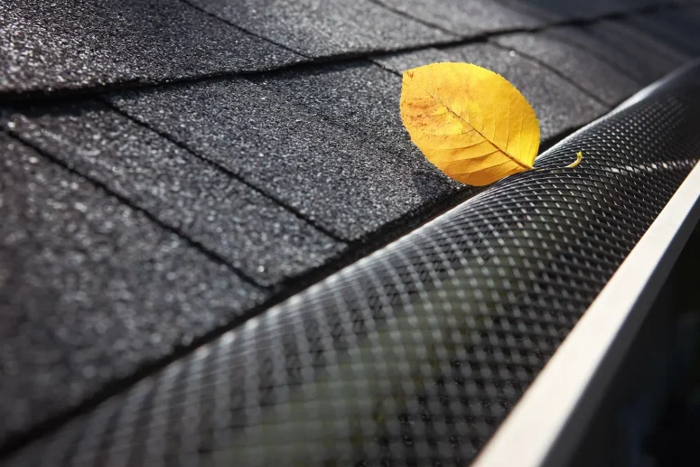 How Effective Are Gutter Guards? Everything Homeowners Should Know